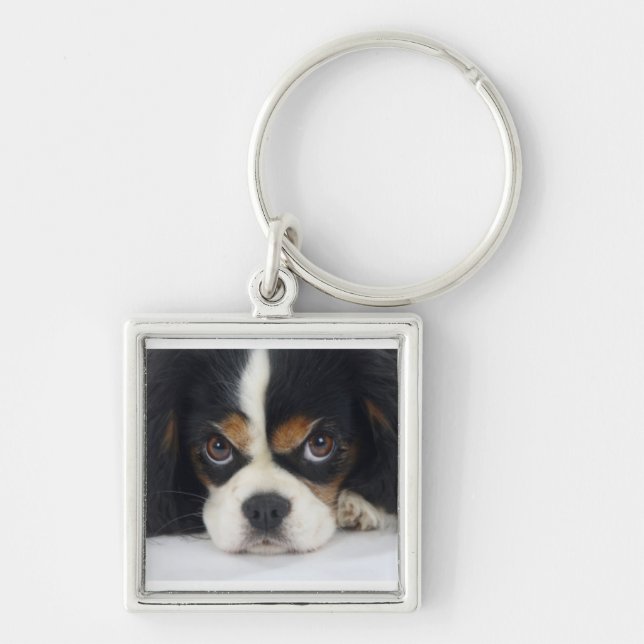Cavalier King Charles Spaniel Keychain (Front)