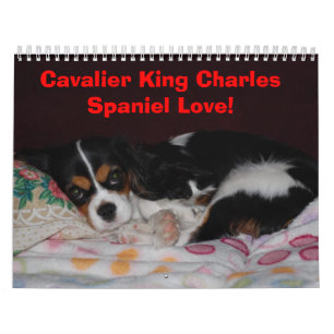 Cavalier King Charles Spaniel Love! Calendar