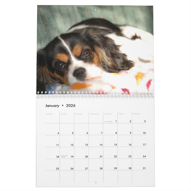 Cavalier King Charles Spaniel Love! Calendar (Jan 2026)