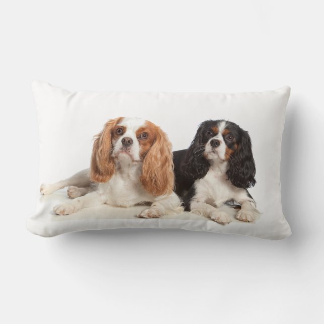 Cavalier King Charles Spaniel Lumbar Cushion (Front)