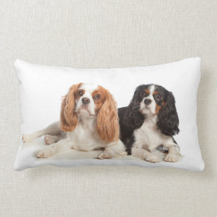 Cavalier King Charles Spaniel Lumbar Cushion
