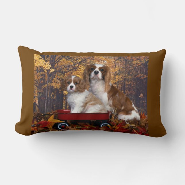 Cavalier King Charles Spaniel Lumbar Cushion (Front)