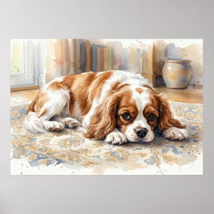 Cavalier King Charles Spaniel Lying Down Watercolo Poster