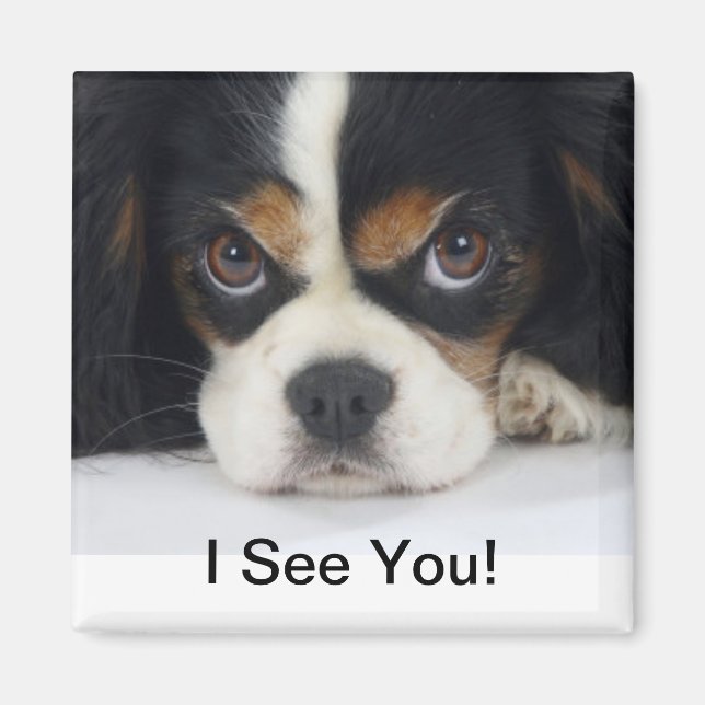 Cavalier King Charles Spaniel Magnet Tri (Front)