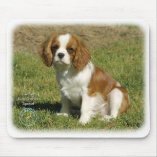 Cavalier King Charles Spaniel Mouse Mat