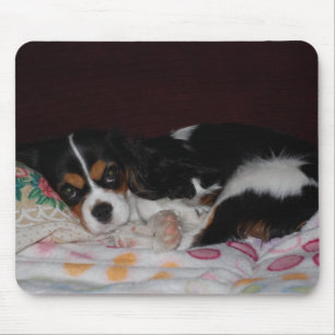 Cavalier King Charles Spaniel Mouse Mat