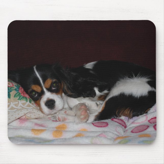 Cavalier King Charles Spaniel Mouse Mat (Front)