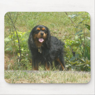 Cavalier King Charles Spaniel Mouse Mat