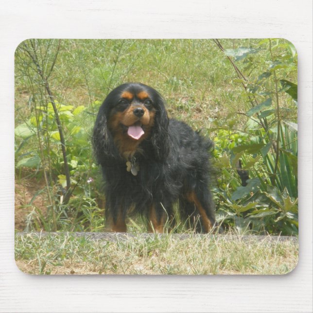 Cavalier King Charles Spaniel Mouse Mat (Front)