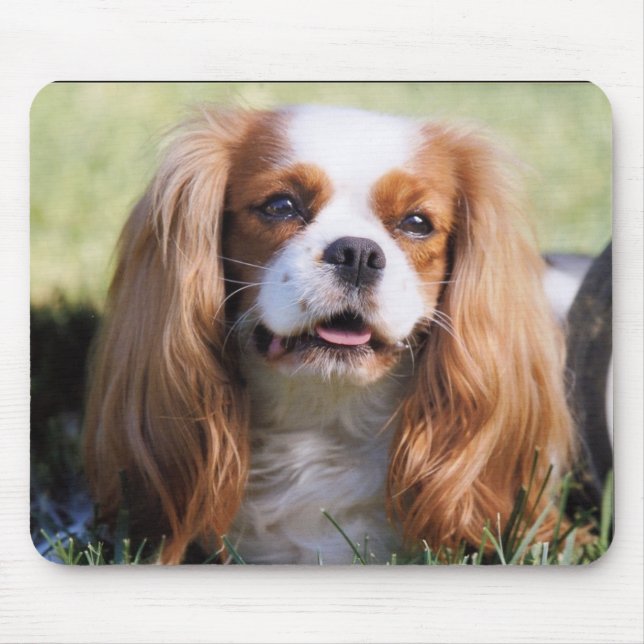 Cavalier King Charles Spaniel Mouse Mat (Front)