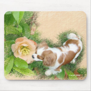 Cavalier King Charles Spaniel Mouse Mat