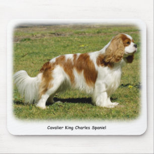 Cavalier King Charles Spaniel Mouse Mat