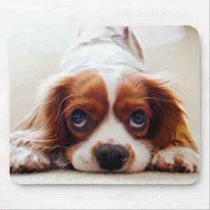 Cavalier King Charles Spaniel Mouse Mat