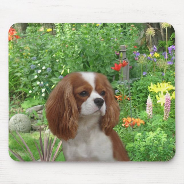Cavalier King Charles Spaniel  Mousepad (Front)