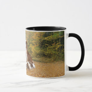 Cavalier King Charles Spaniel Mug