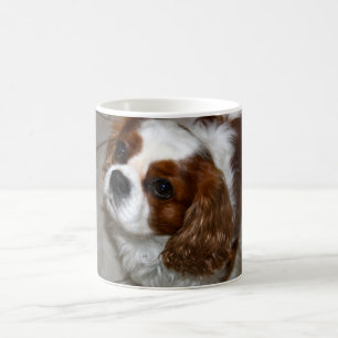 Cavalier King Charles Spaniel Mug