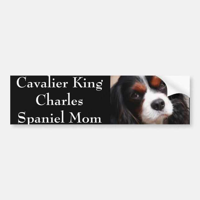 Cavalier King Charles Spaniel Mum Bumper Sticker (Front)