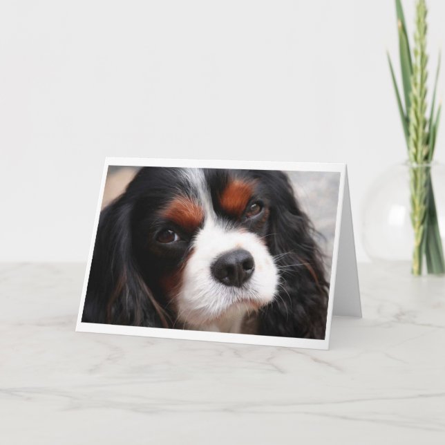 Cavalier King Charles Spaniel Mum Card (Front)