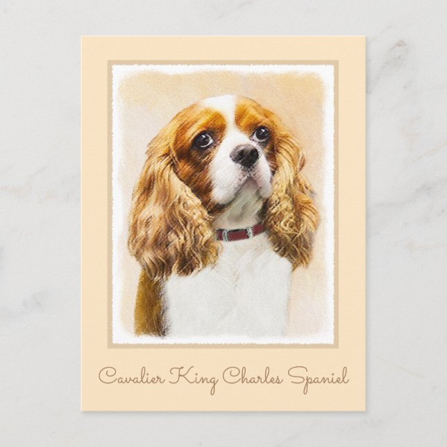 Cavalier King Charles Spaniel Original Painting Postcard (Front)