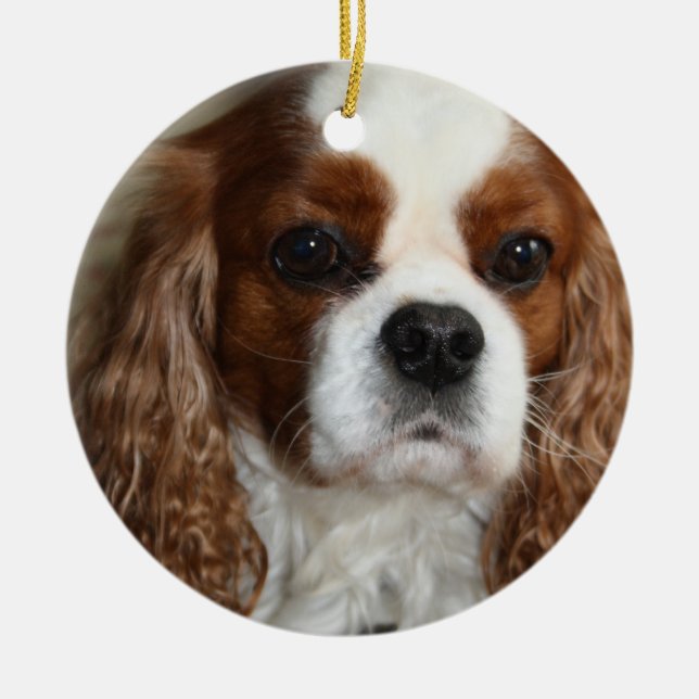 Cavalier King Charles Spaniel Ornament (Front)
