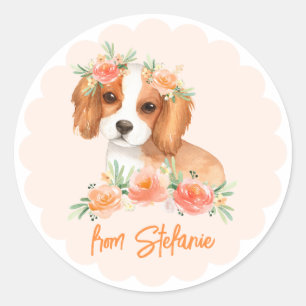 Cavalier King Charles Spaniel Peach Birthday Classic Round Sticker