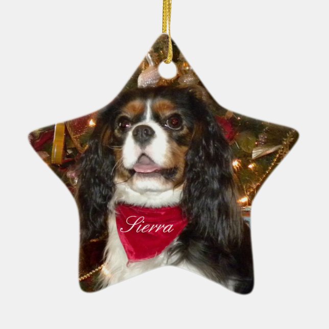 Cavalier King Charles Spaniel Personalise Ornament (Back)