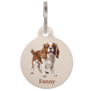 Cavalier King Charles Spaniel Personalise Pet Tag