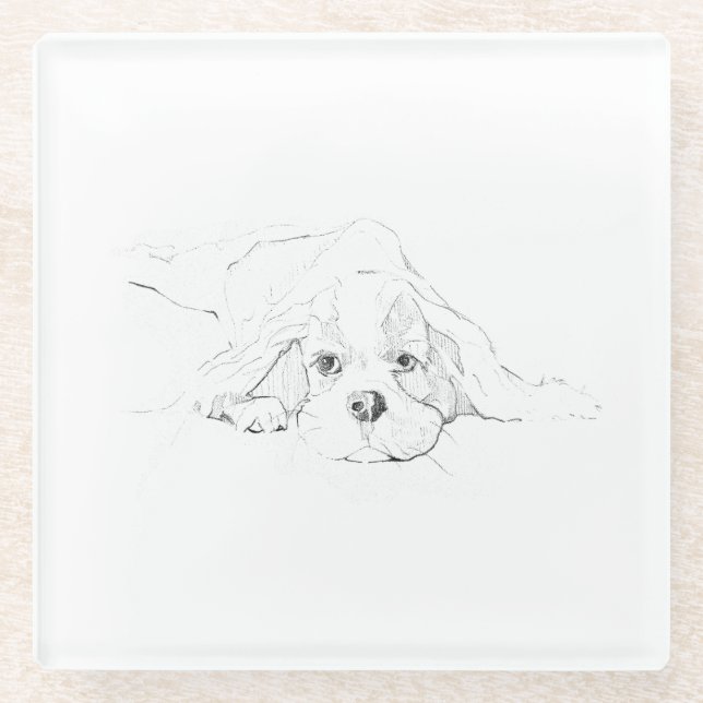 Cavalier King Charles Spaniel Pet Mug Glass Coaster (Front)