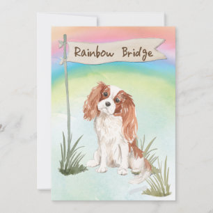 Cavalier King Charles Spaniel Pet Sympathy Card