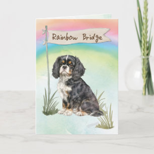 Cavalier King Charles Spaniel Pet Sympathy  Card