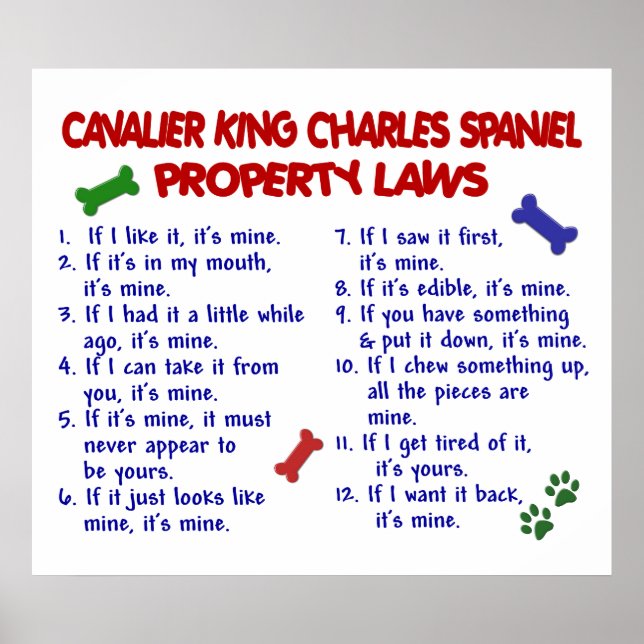 CAVALIER KING CHARLES SPANIEL PL2 POSTER (Front)