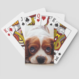 Cavalier King Charles Spaniel Playing Cards