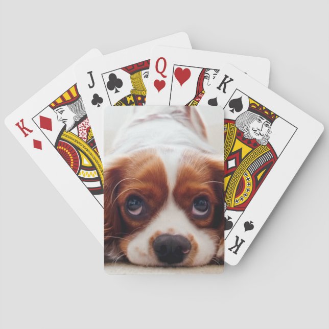 Cavalier King Charles Spaniel Playing Cards (Back)