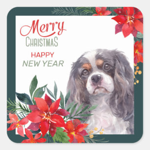 Cavalier King Charles Spaniel Poinsettia Bouquet Square Sticker