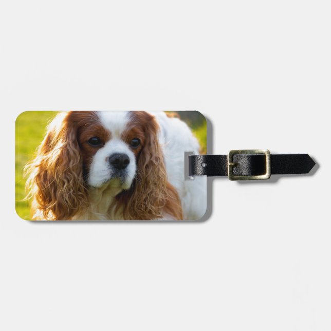 Cavalier King Charles Spaniel Portrait Luggage Tag (Front Horizontal)