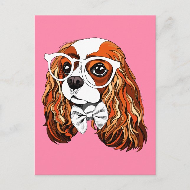 Cavalier King Charles Spaniel Portrait Postcard (Front)