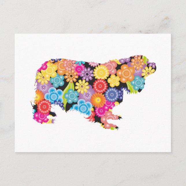 Cavalier King Charles Spaniel Postcard (Front)