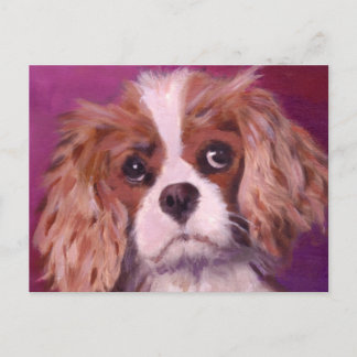 Cavalier King Charles Spaniel Postcard