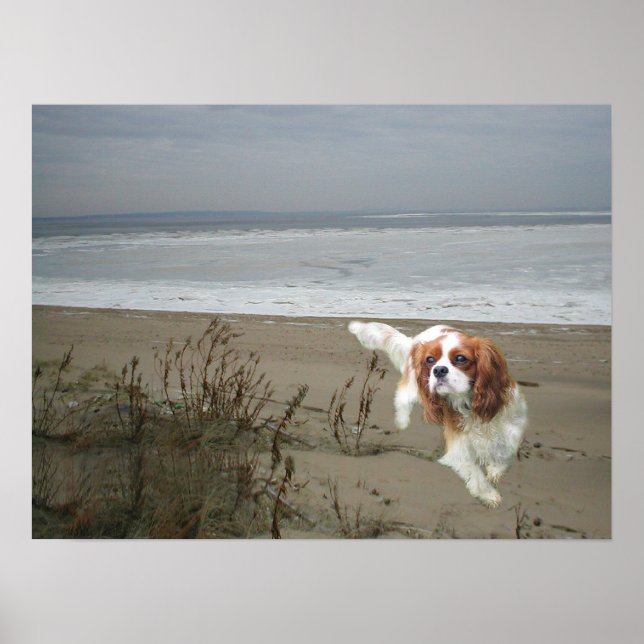 Cavalier King Charles Spaniel Print (Front)
