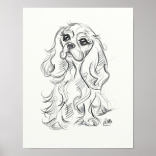Cavalier king charles spaniel print   species