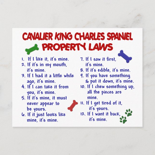 CAVALIER KING CHARLES SPANIEL Property Laws 2 Postcard (Front)