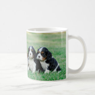 Cavalier King Charles Spaniel puppies Coffee Mug