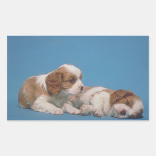 Cavalier King Charles Spaniel Puppies Rectangular Sticker