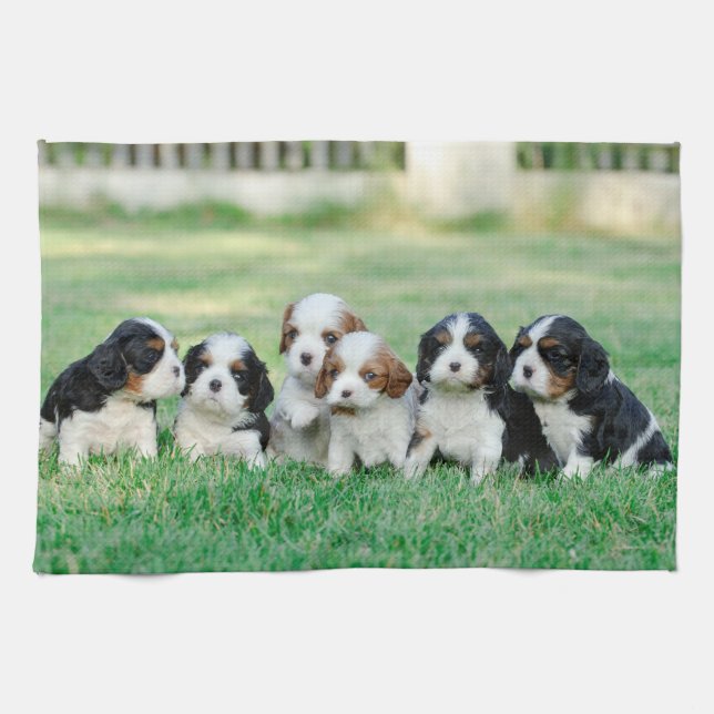 Cavalier King Charles Spaniel puppies Tea Towel (Horizontal)