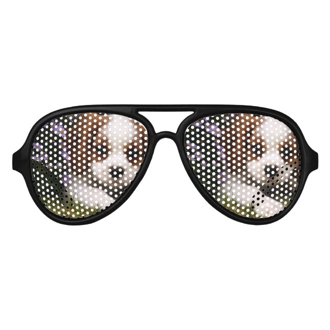 Cavalier King Charles Spaniel Puppy behind flowers Aviator Sunglasses (Front)