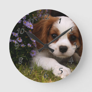 Cavalier King Charles Spaniel Puppy behind flowers Round Clock