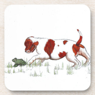 Cavalier King Charles Spaniel puppy CKC Coaster