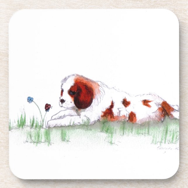 Cavalier King Charles Spaniel  puppy CKC Coaster (Front)