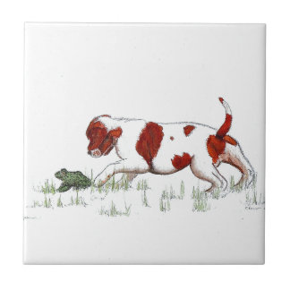 Cavalier King Charles Spaniel  puppy CKC Tile