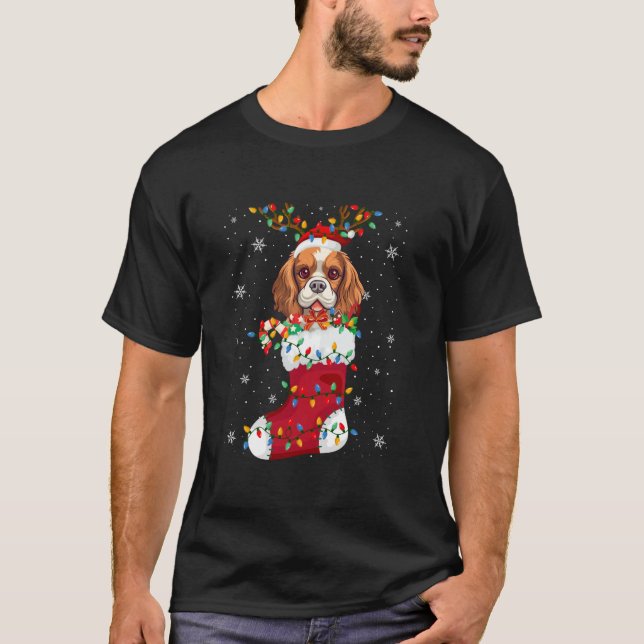 Cavalier King Charles Spaniel Puppy Dog In Socks X T-Shirt (Front)